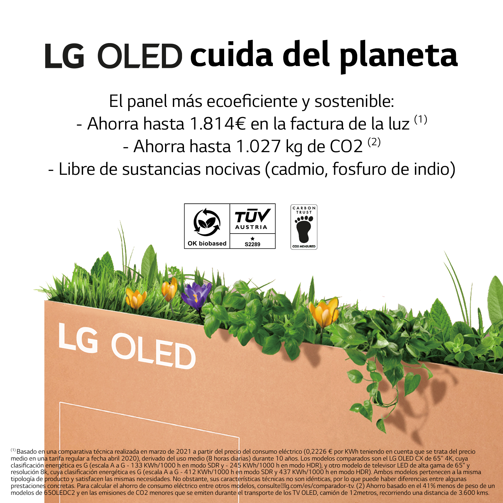 Un anuncio con texto en español, enfatizando la eficiencia energética de un televisor OLED.