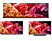 TV SONY XR65X95KAEP 65" FULL LED Smart 4K