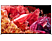 TV SONY XR75X95KAEP 75" FULL LED Smart 4K