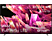 TV SONY XR85X90SAEP 85" FULL LED Smart 4K