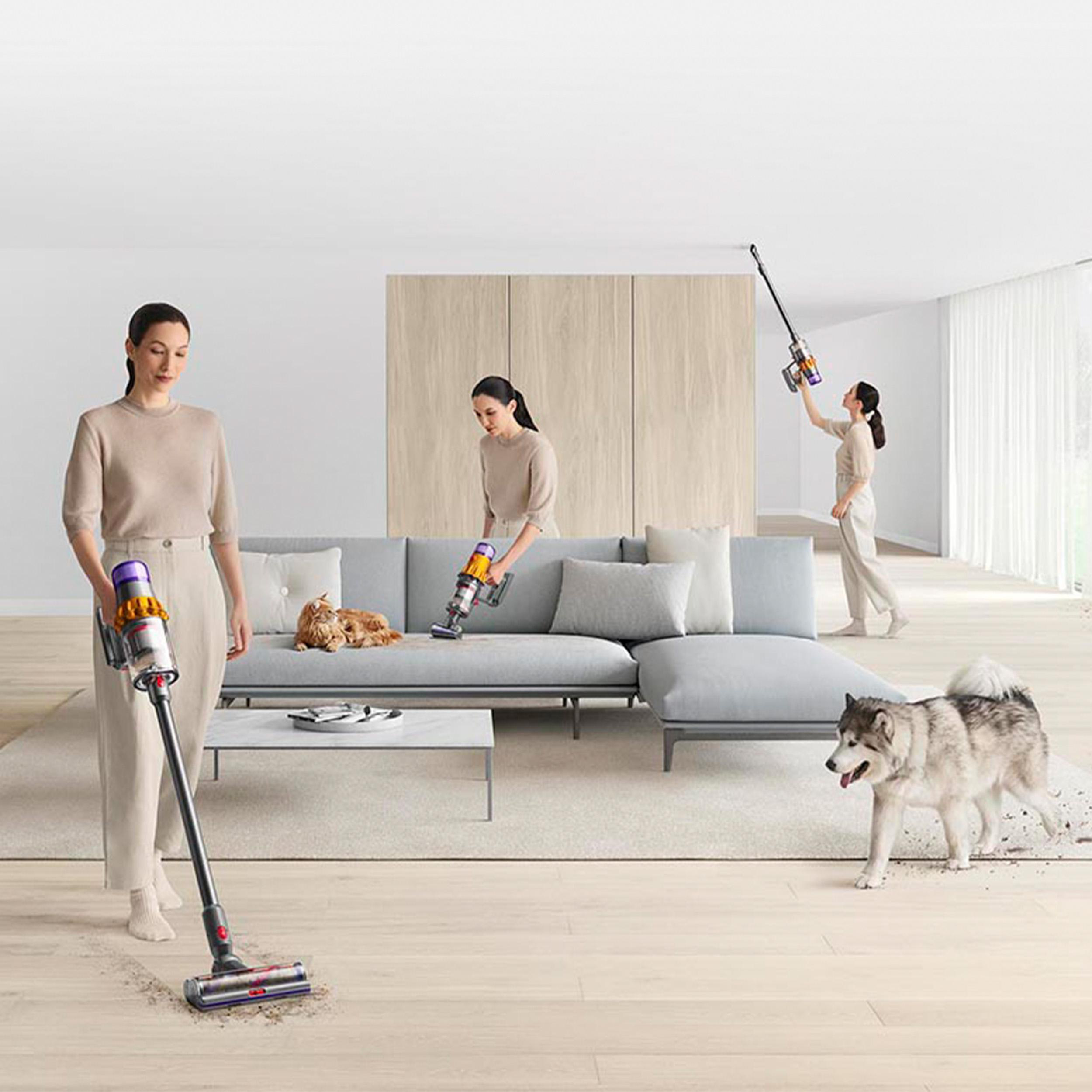 Drei Frauen saugen ein Haus mit Haustieren. Eine saugt die Decke, eine den Boden und eine steht.