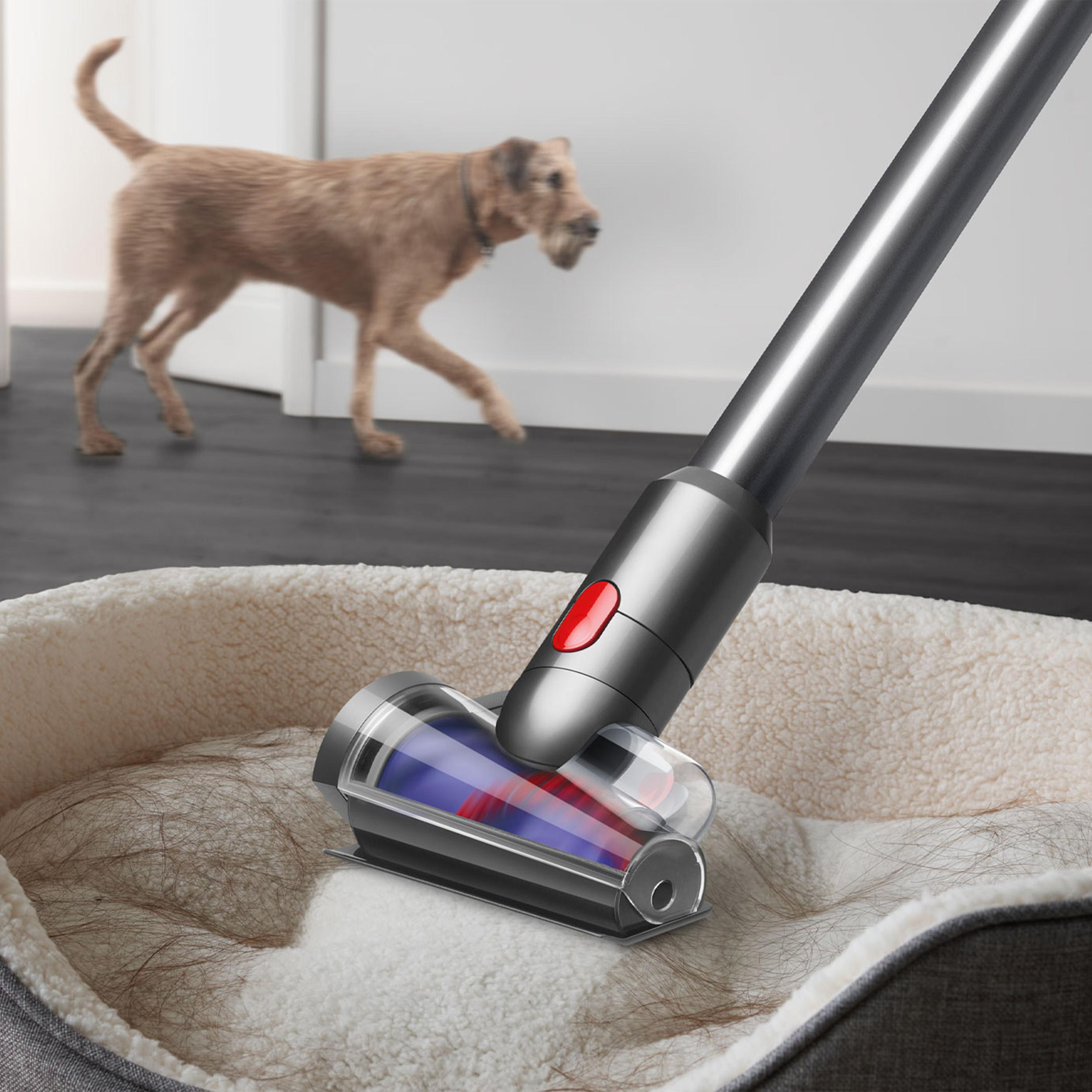 Staubsaugerkopf in Hundebett, entfernt Haare, mit Hund im Hintergrund.
