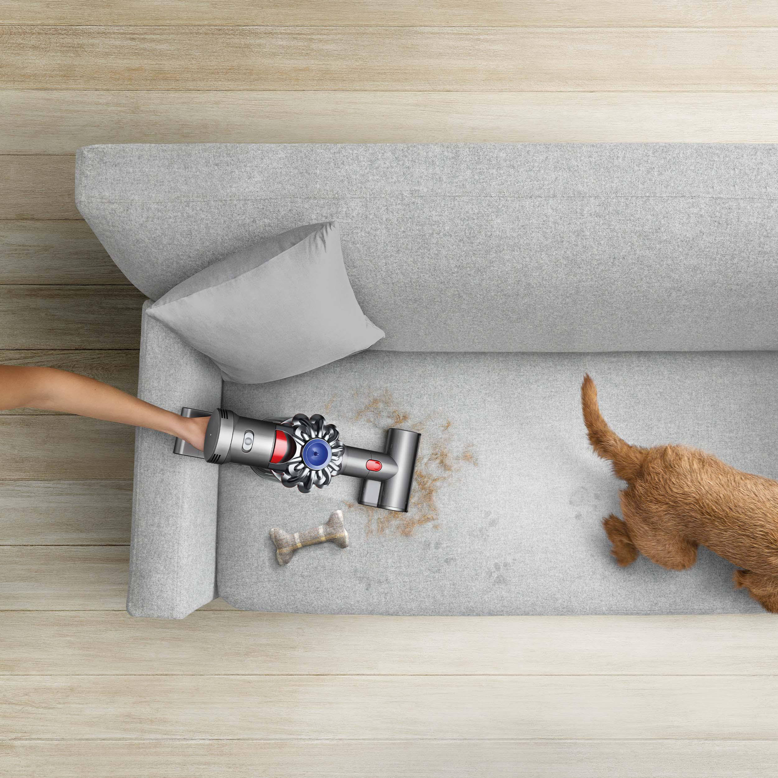 Staubsaugen eines Sofas mit einer Hand, die den Staubsauger hält. Ein Hund rennt.