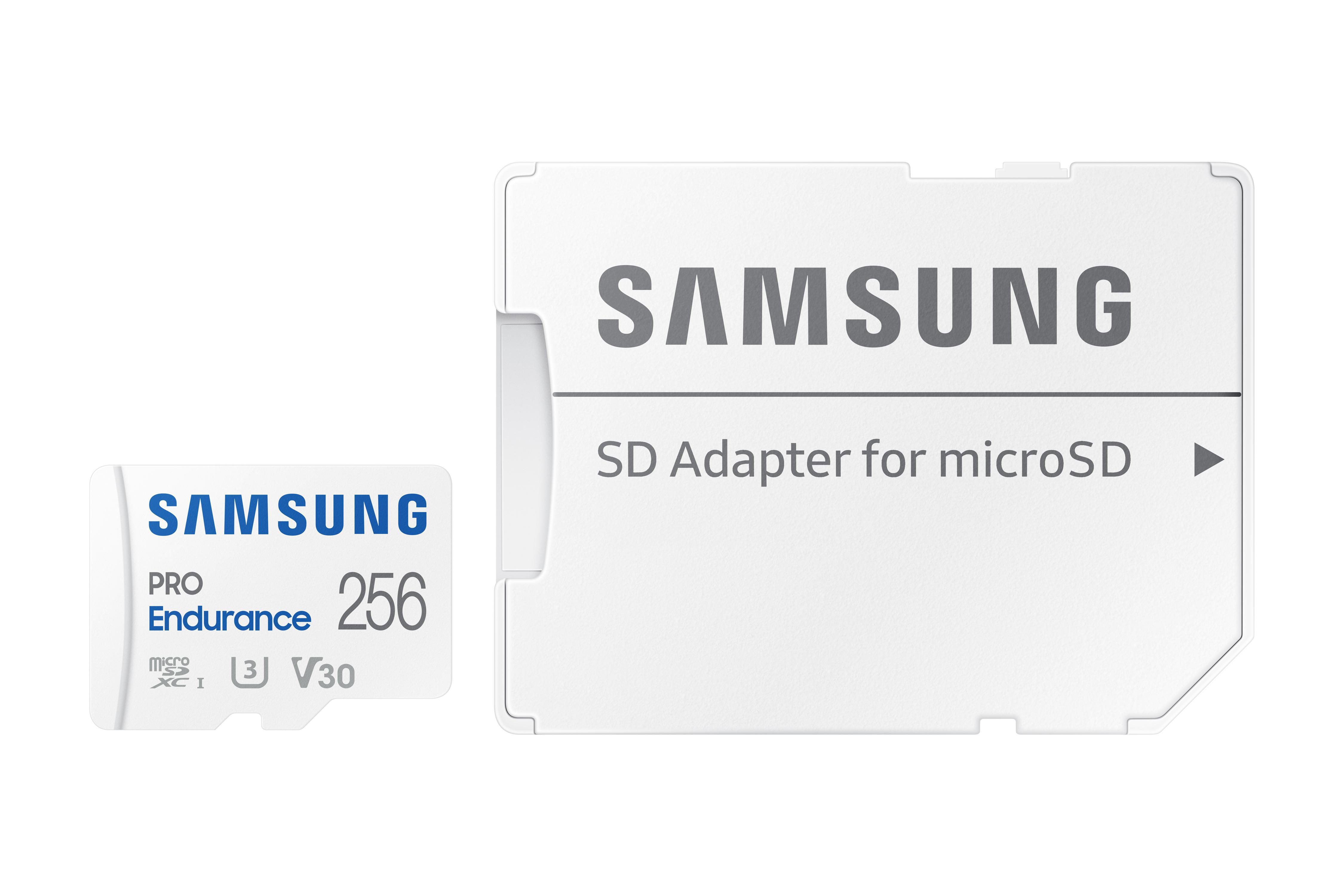 MB/s (2022), GB, PRO Micro-SDXC 256 SAMSUNG 100 Speicherkarte, Endurance