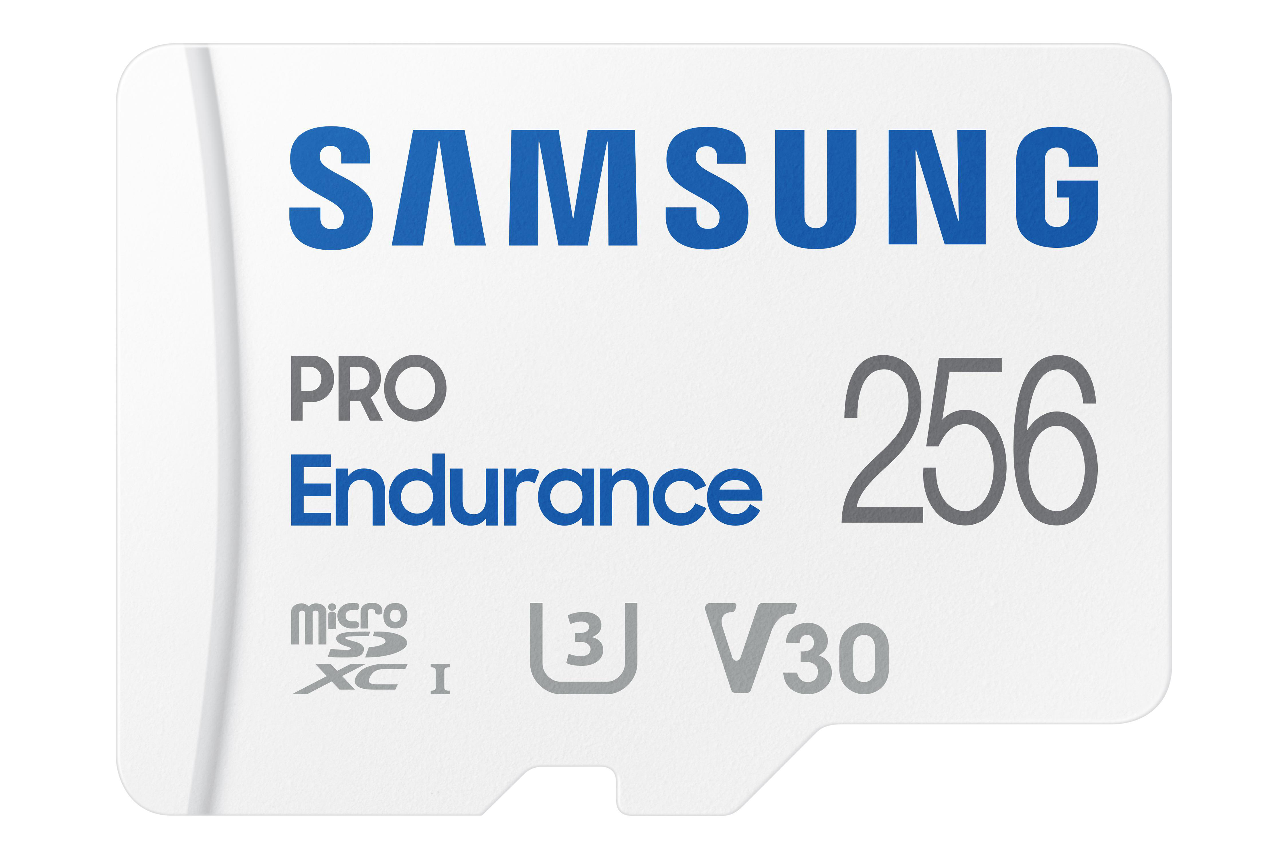 MB/s (2022), GB, PRO Micro-SDXC 256 SAMSUNG 100 Speicherkarte, Endurance