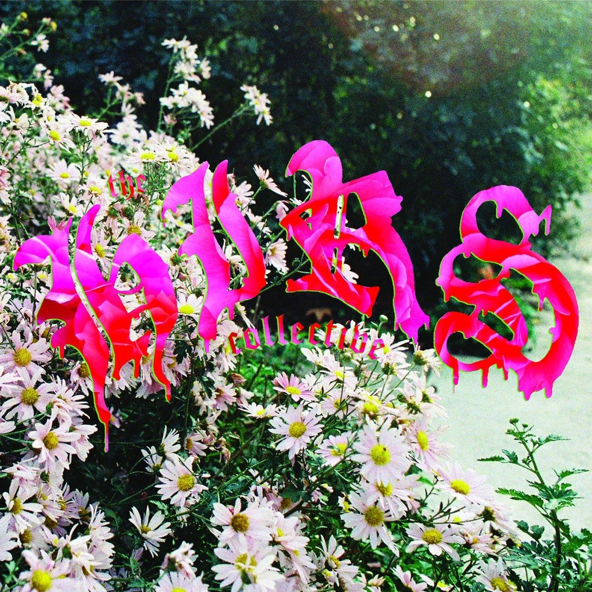 Albumcover mit pinkfarbenem Text und einem rosa-weißen Blumengrund. Das Wort ist '1985'.