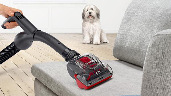 Staubsauger reinigt Sofa. Hund sitzt im Hintergrund.