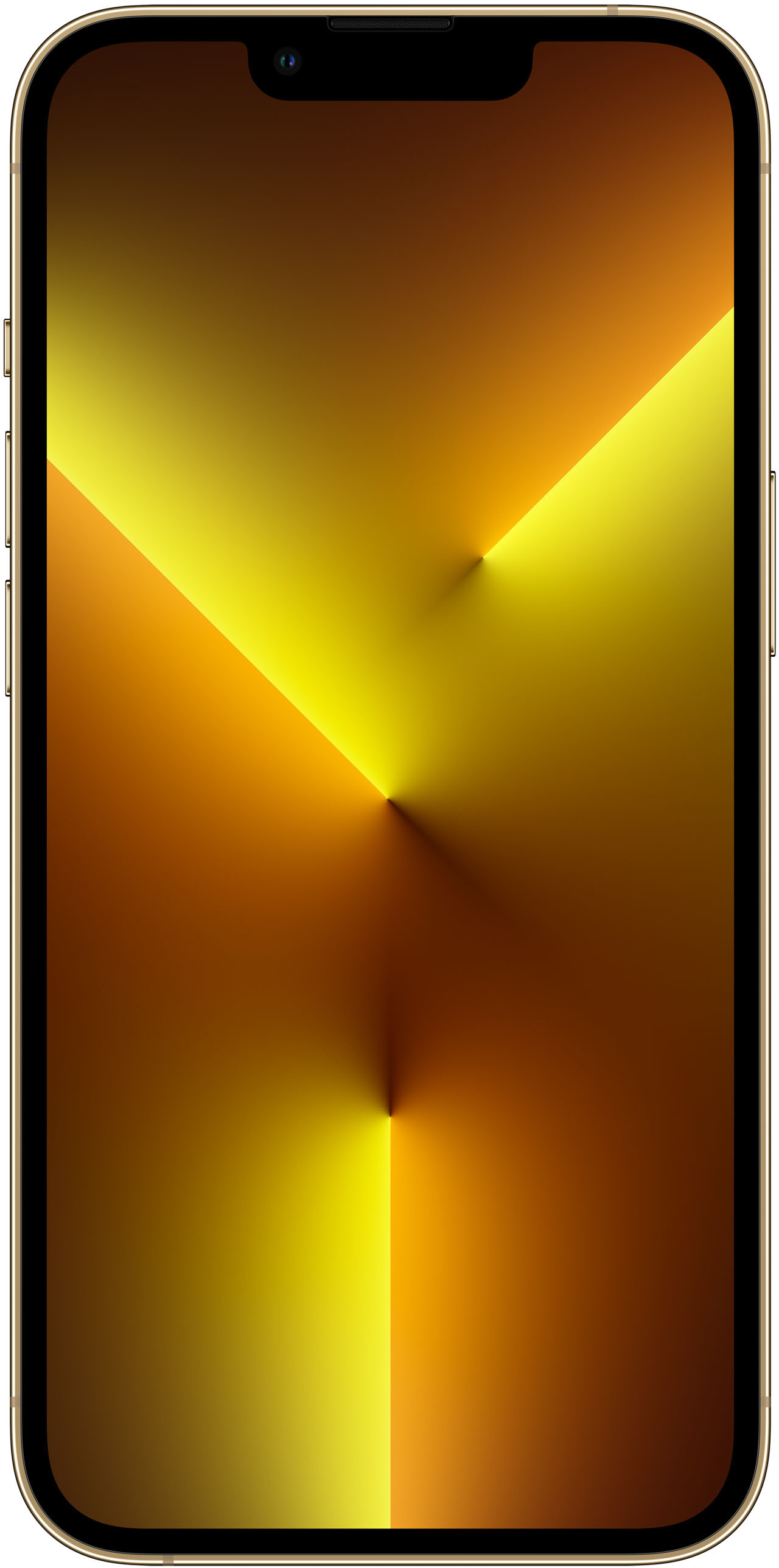 APPLE IPHONE 13 PRO 1TB GOLD - 1 TB 
