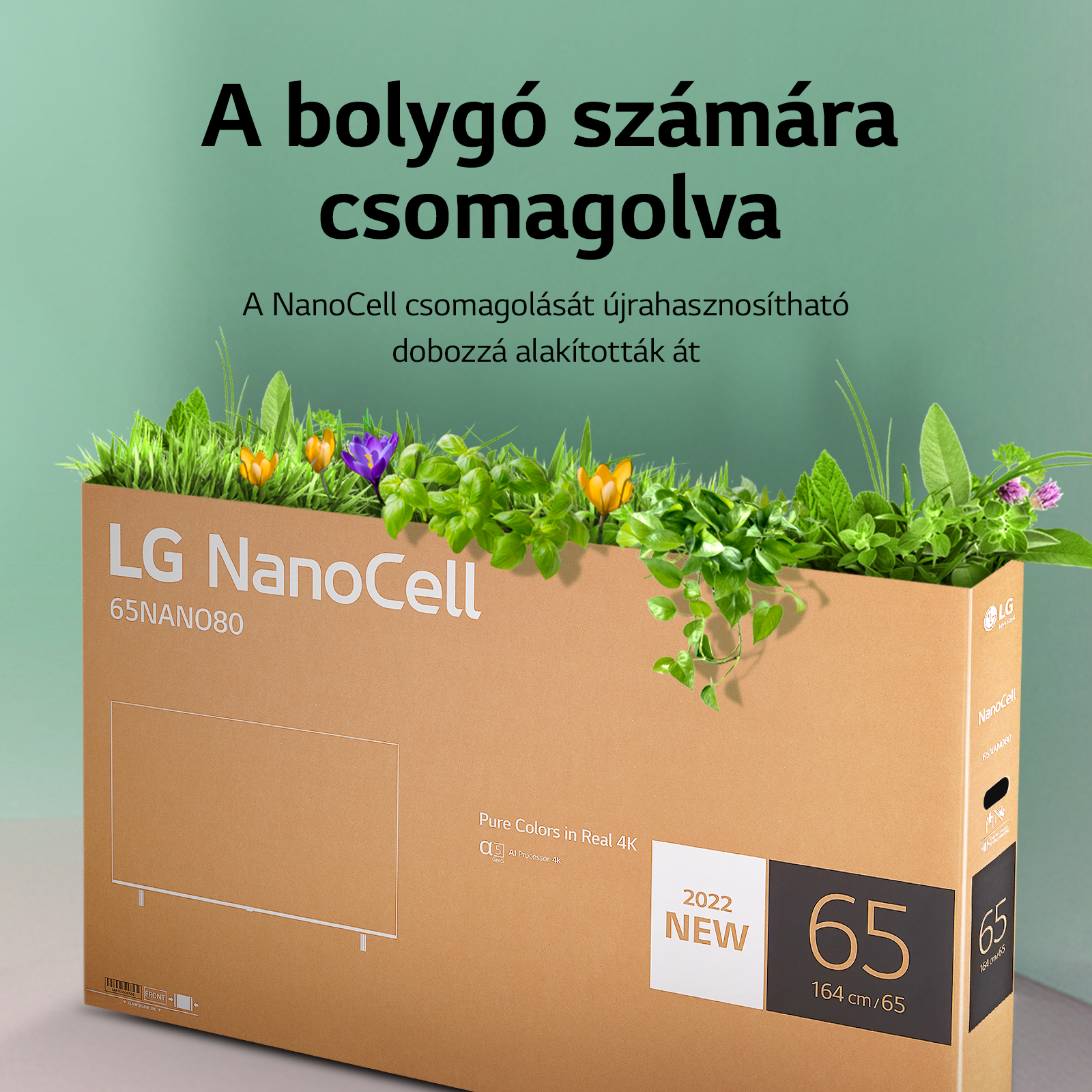 Egy nagy kartondoboz, LG NanoCell felirattal, melyből növények és virágok nőnek ki.
