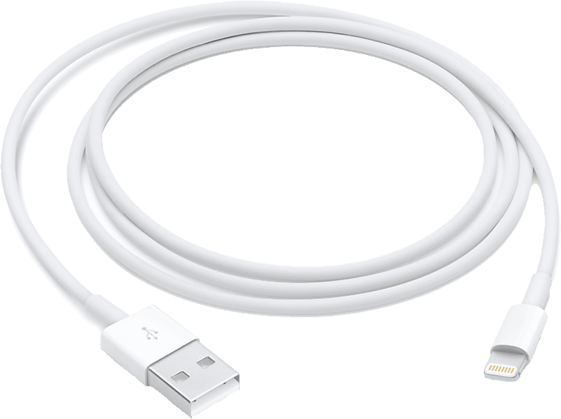 Adaptador Carga Original Iphone USB-C, Venta y reparación de teléfonos  móviles en Toledo