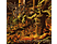 Phazm - Hate At First Seed (CD)