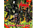 Hirax - Noise Chaos War (CD)