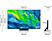 TV SAMSUNG 65" OLED 4K Smart TV QE65S95BATXXN