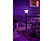 PHILIPS HUE Buitenlantaarn Econic Zwart (1744230P7)