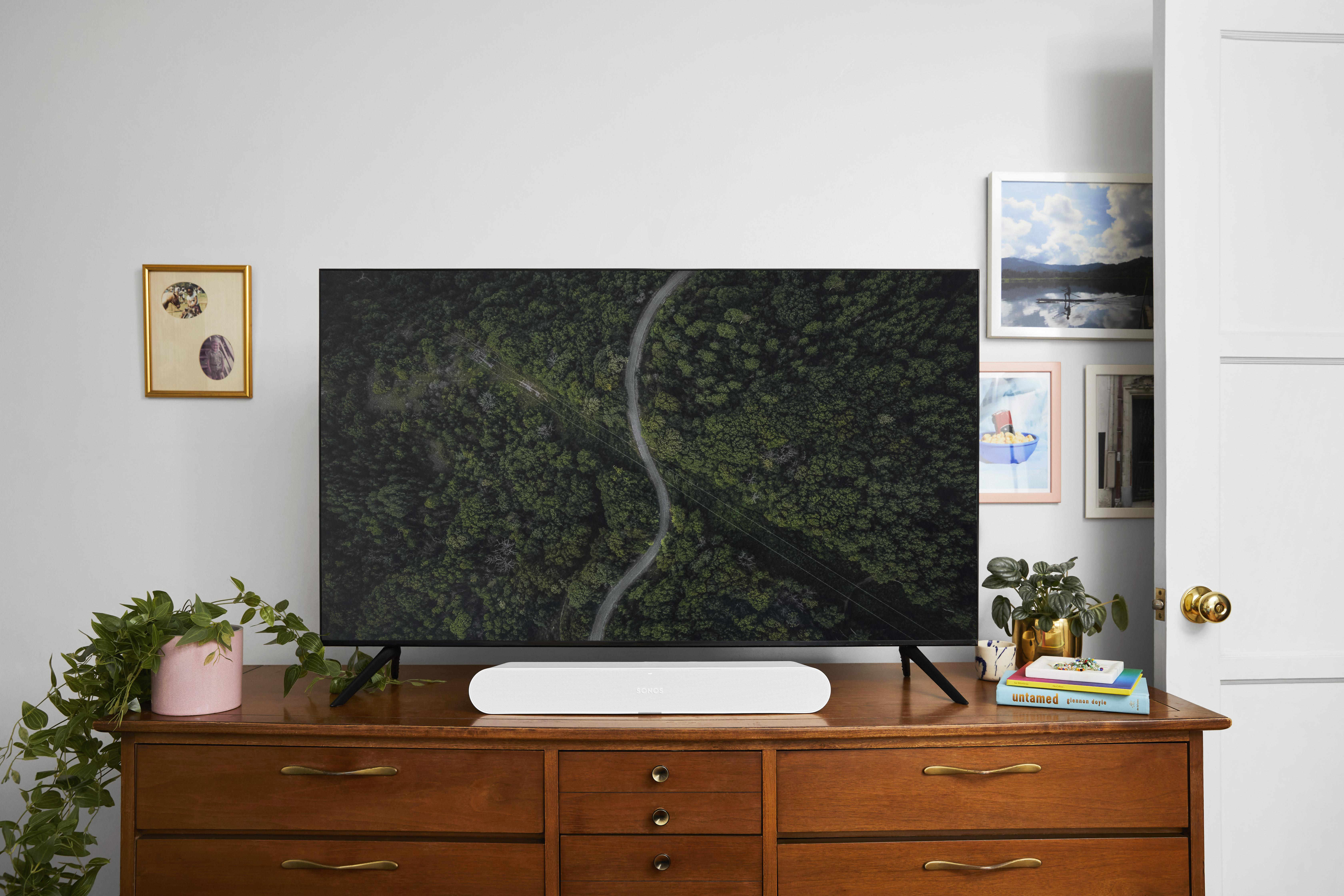Wohnzimmer. Ein Fernseher mit einer Waldszene steht über einer Soundbar auf einer Holzkommode. Pflanzen und Kunstwerke sind an den Seiten.