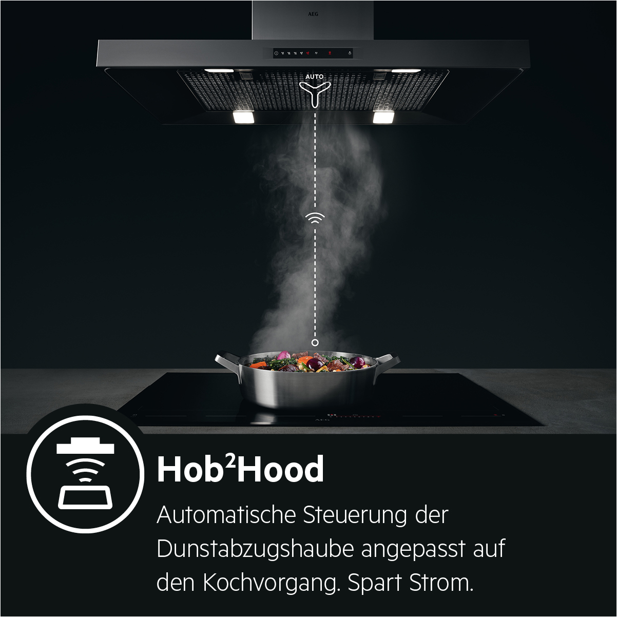 AEG DVS567AHG, Dunstabzugshaube (598 mm breit, 418 mm tief)