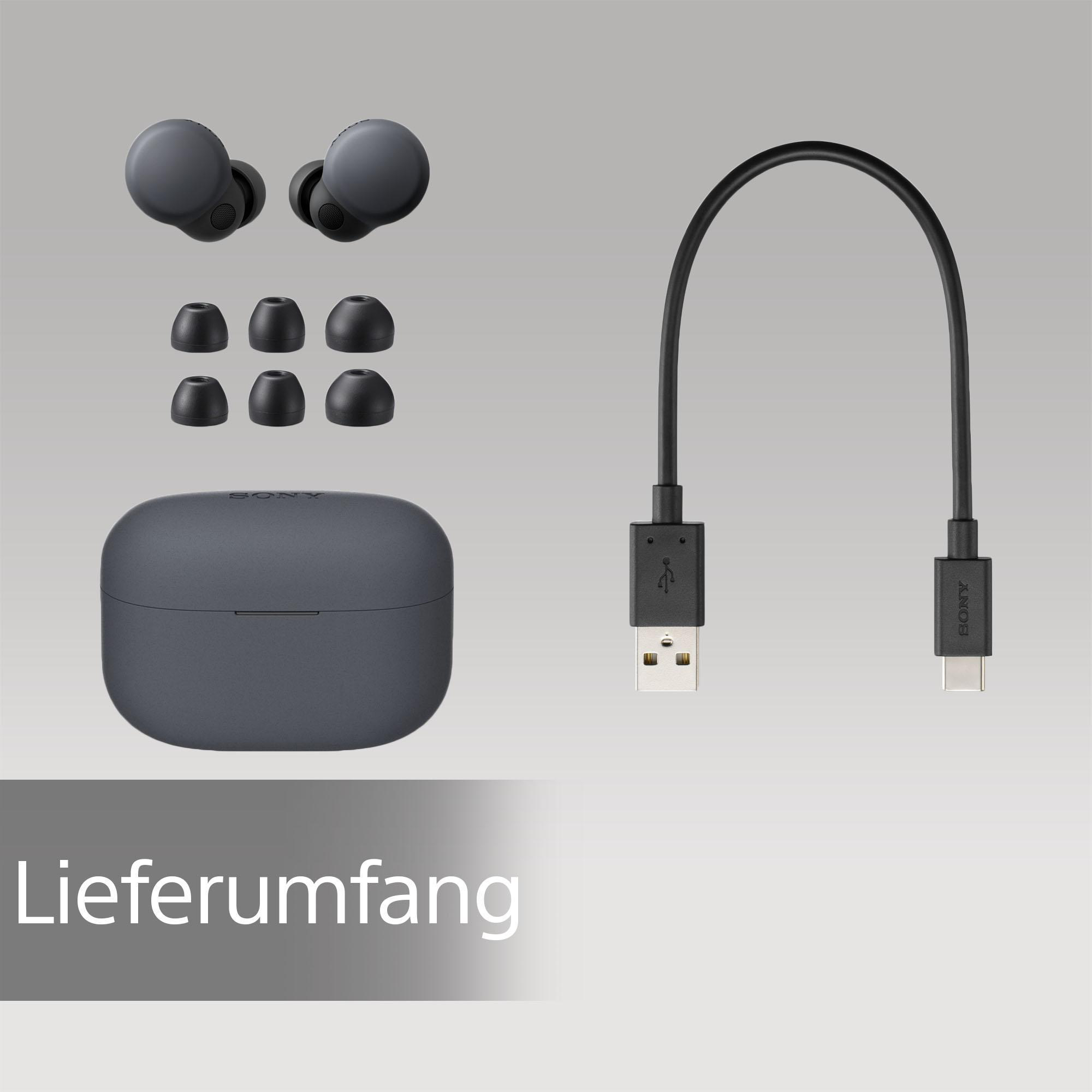 Set dunkler grauer Sony Ohrhörer, Ladecase, zusätzliche Ohrstöpsel und ein USB-C-Ladekabel.