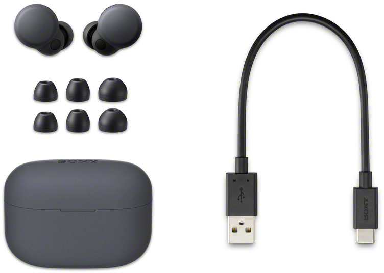 Écouteurs, étui de chargement et câble USB. Le tout en gris foncé.
