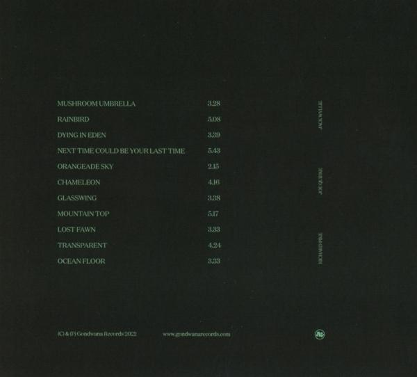 Forgiveness - Next Time Could Be Your Last Time  - (CD)
