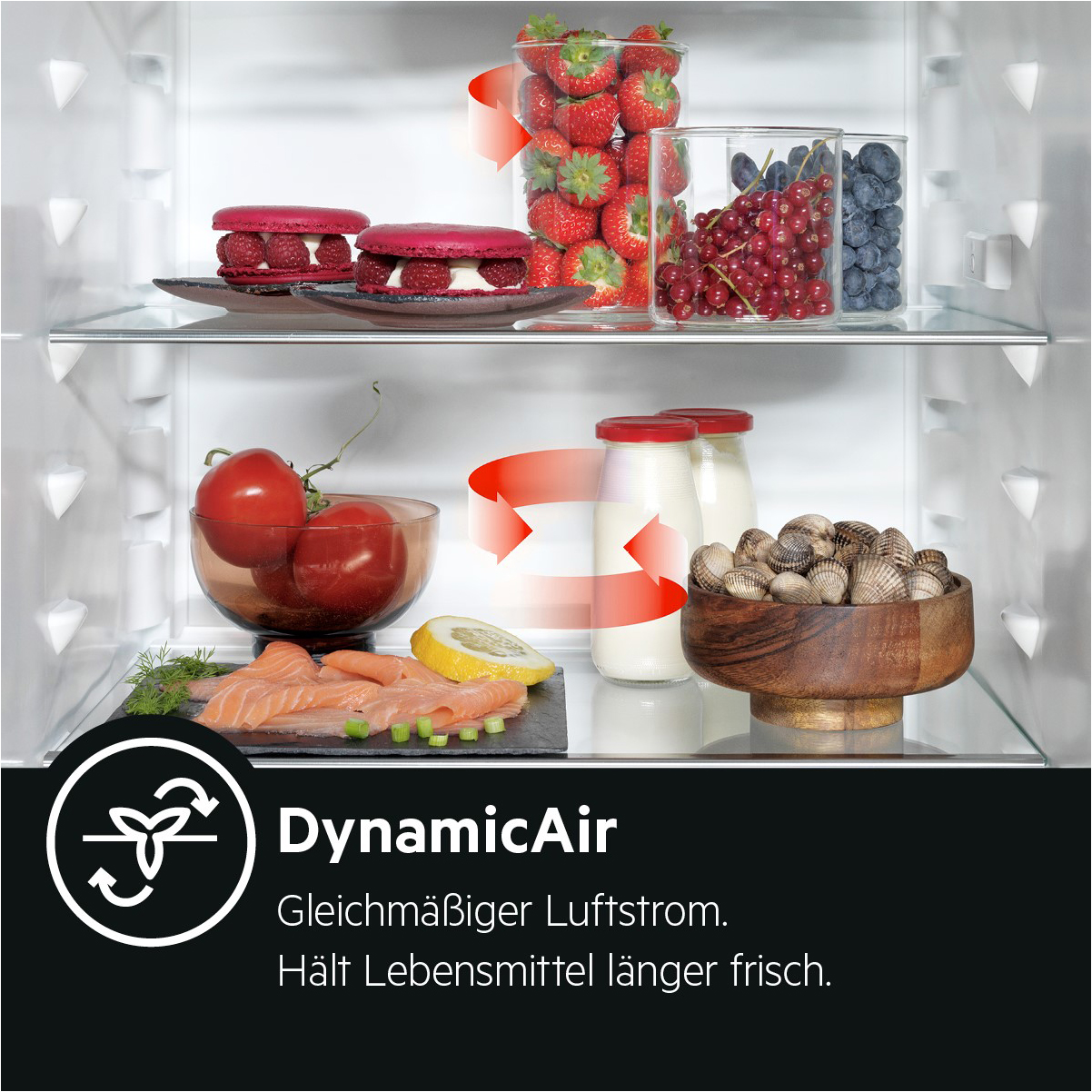 AEG RKB333E2DW Kühlschrank (309 l, E, 1550 mm hoch, Weiß)