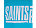 GAYA Saints Row "Logo" - T-Shirt (Azzurro)