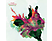 Mary Halvorson - Amaryllis (CD)