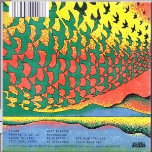 The Flock - Flock  - (CD)