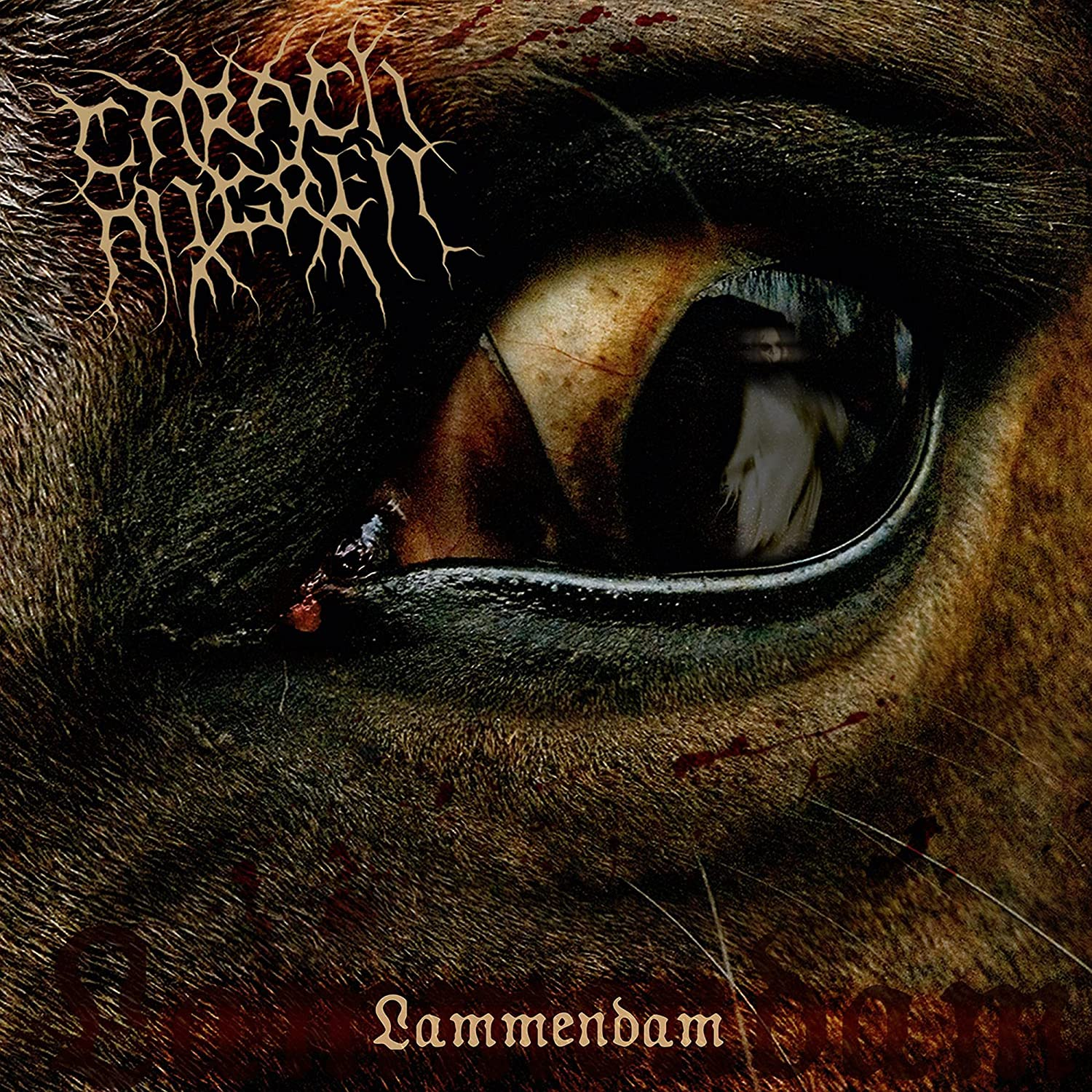 Carach Angren - Lammendam (CD)