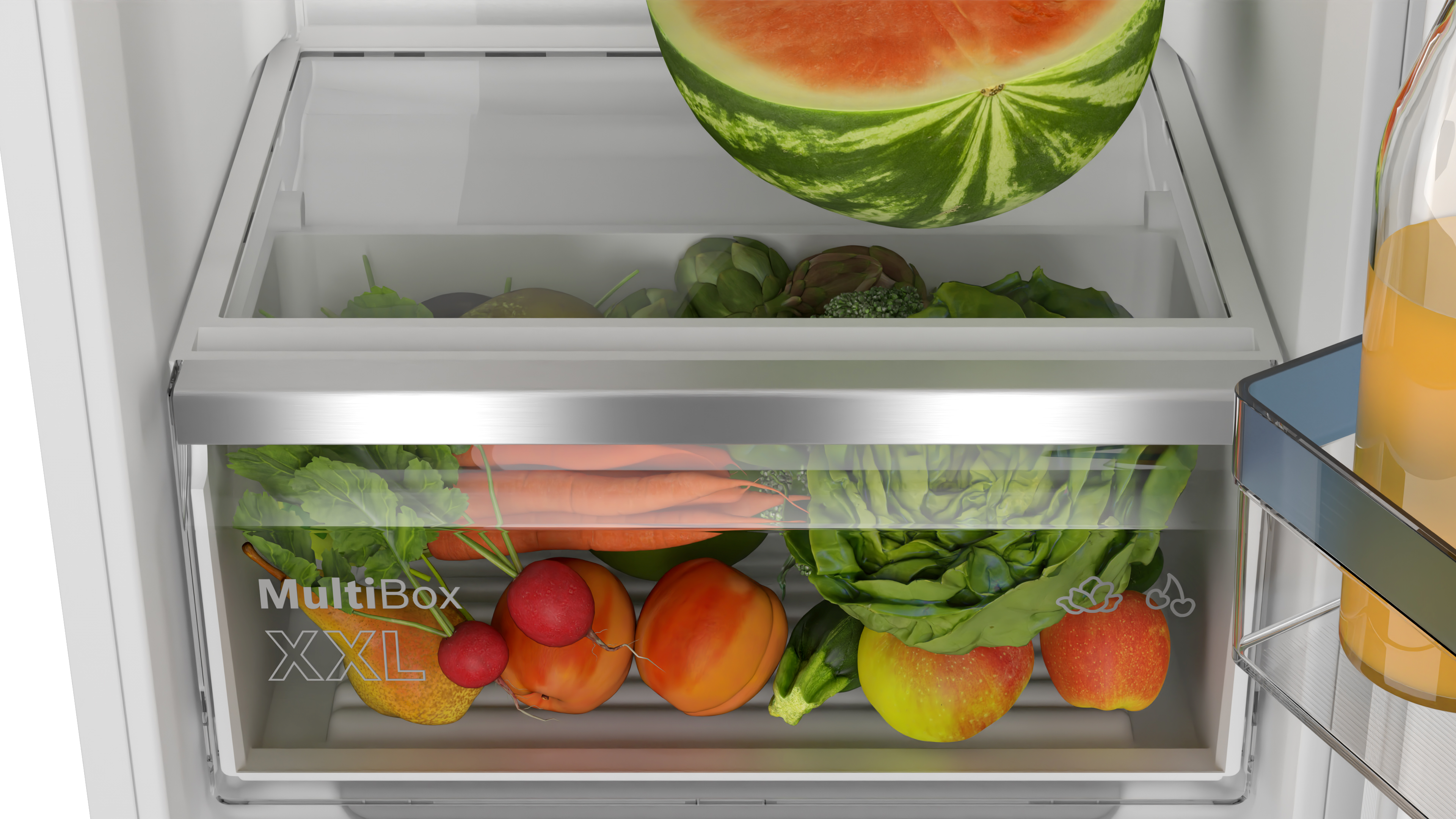 A refrigerator drawer filled with fresh vegetables: carrots, apples, radishes, and a watermelon.