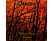 Drudkh - Estrangement (CD)