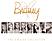 Britney Spears - The Singles Collection (CD)