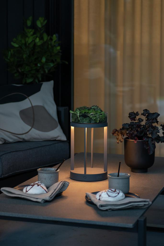 Außenbereich: Tisch mit Lampe, Pflanzen, Getränke. Abend, warme Beleuchtung.