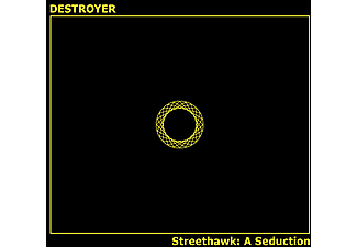 Destroyer - Streethawk: A Seduction (Vinyl LP (nagylemez))