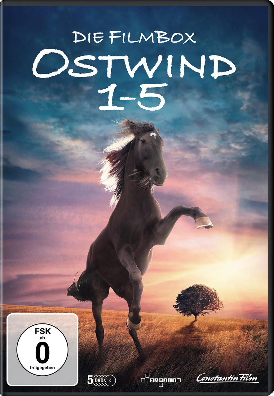 DVD-Cover von "Ostwind 1-5". Pferd, das sich aufbäumt, Wiese und Sonnenuntergang im Hintergrund.