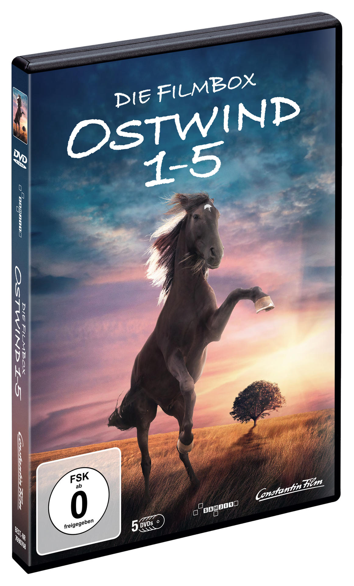 DVD-Box-Set. Ein Pferd steigt auf dem Cover, mit dem Text 'Ostwind 1-5' und einem Sonnenuntergang im Hintergrund.