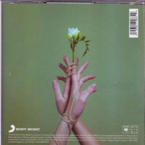 CD-Hülle hinten mit Händen, die eine Blume halten. Hintergrund ist grün. Die Hände sind gebunden.