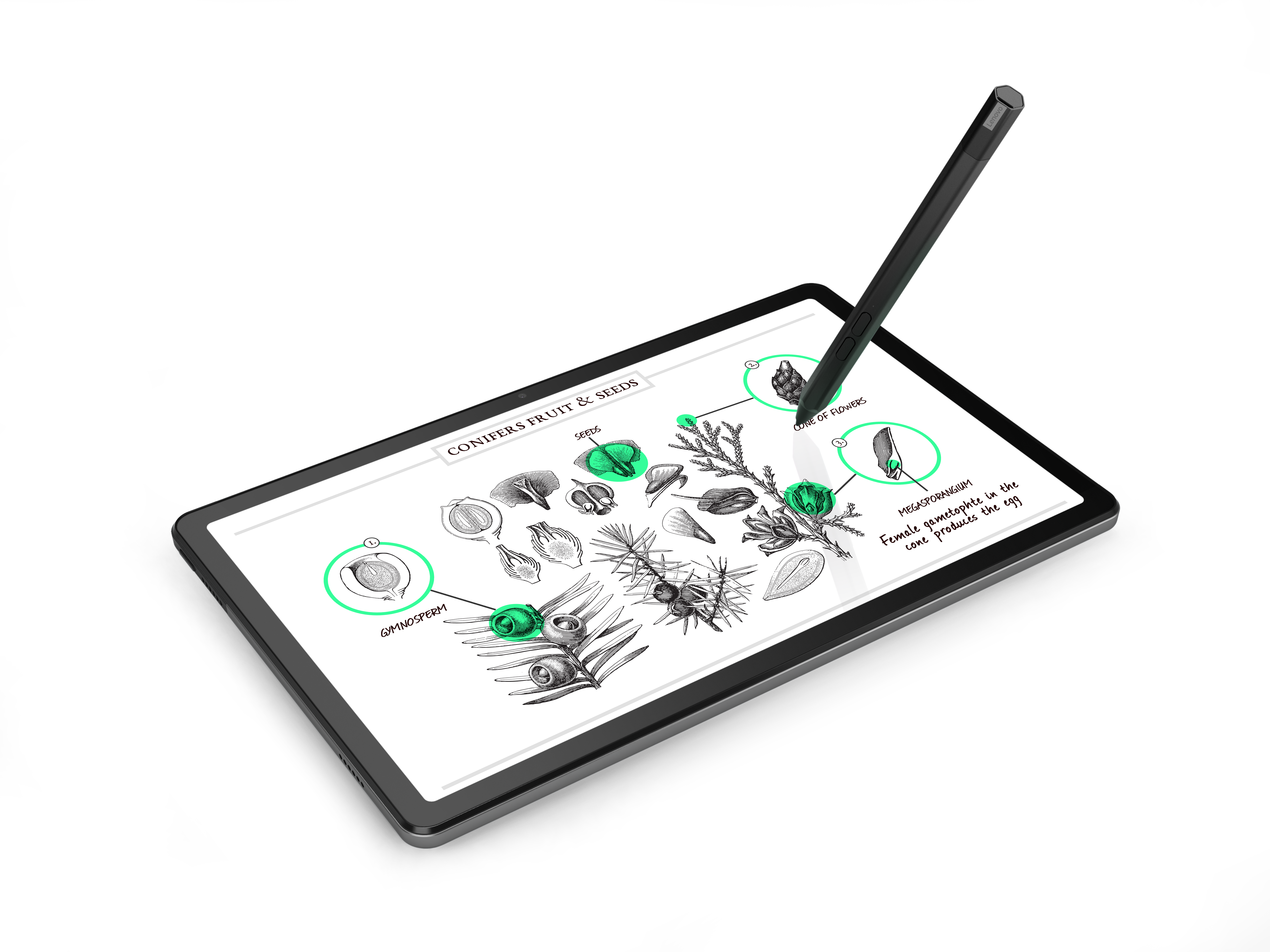Ein Tablet mit einem Diagramm von Pflanzen und einem Stift oben drauf.