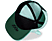 DIFUZED Pokémon - Bulbizarre - casquette (Turquoise/Noir/Rouge)