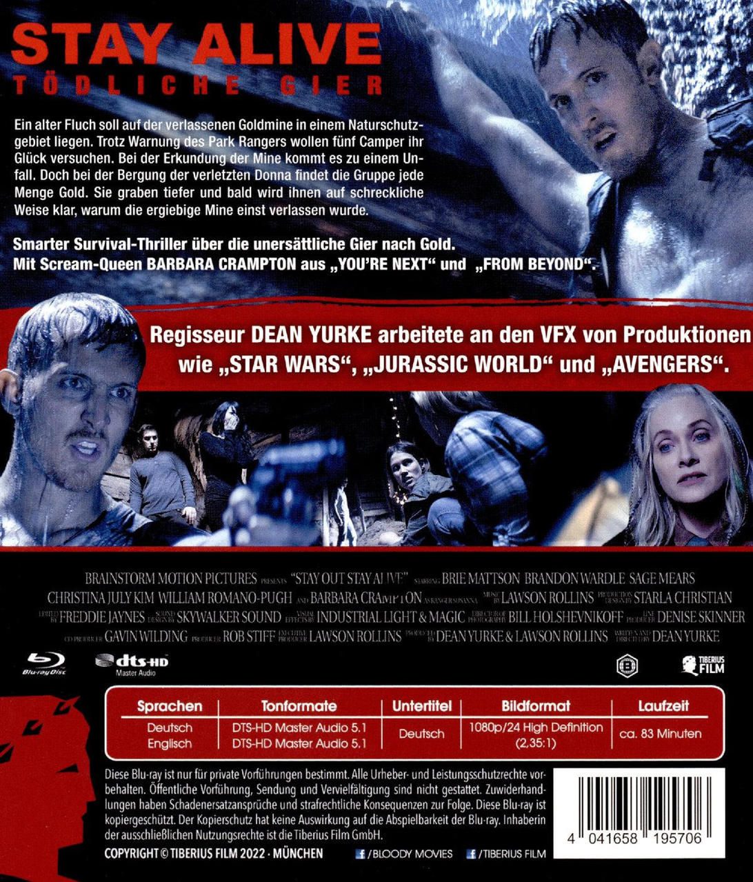 DVD-Cover für 'Stay Alive'. Zeigt Schauspieler mit Titel und Filmdetails auf Deutsch.