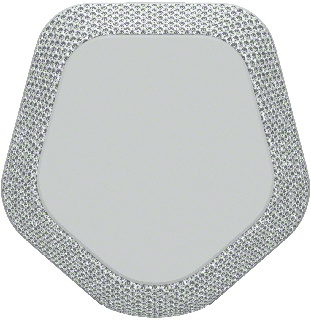 SONY SRSXE200H.CE7 - Enceinte portable Gris