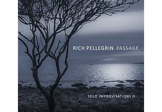 Rich Pellegrin - Passage: Solo Improvisations II  - (CD)