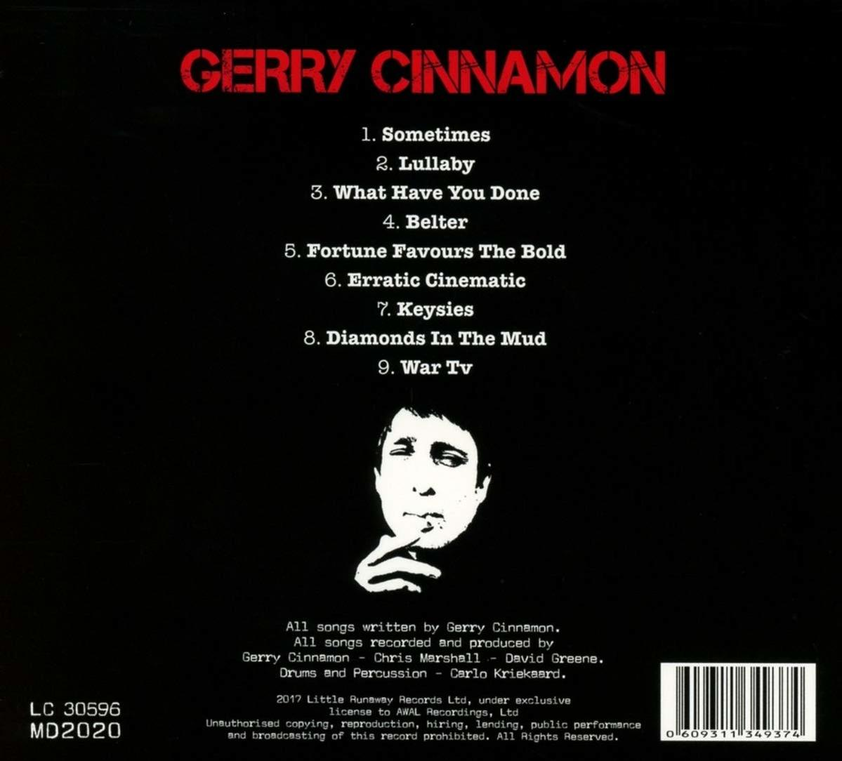Gerry Cinnamon - Erratic Cinematic  - (CD)