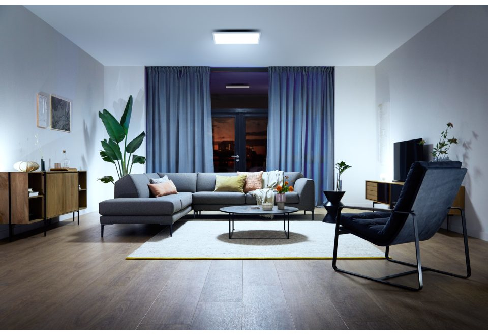 Woonkamer met grijze bank, blauwe gordijnen, grote plant, salontafel en stoel.