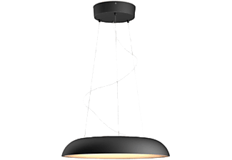 PHILIPS HUE Hanglamp Smart Amaze Zwart (34107400)