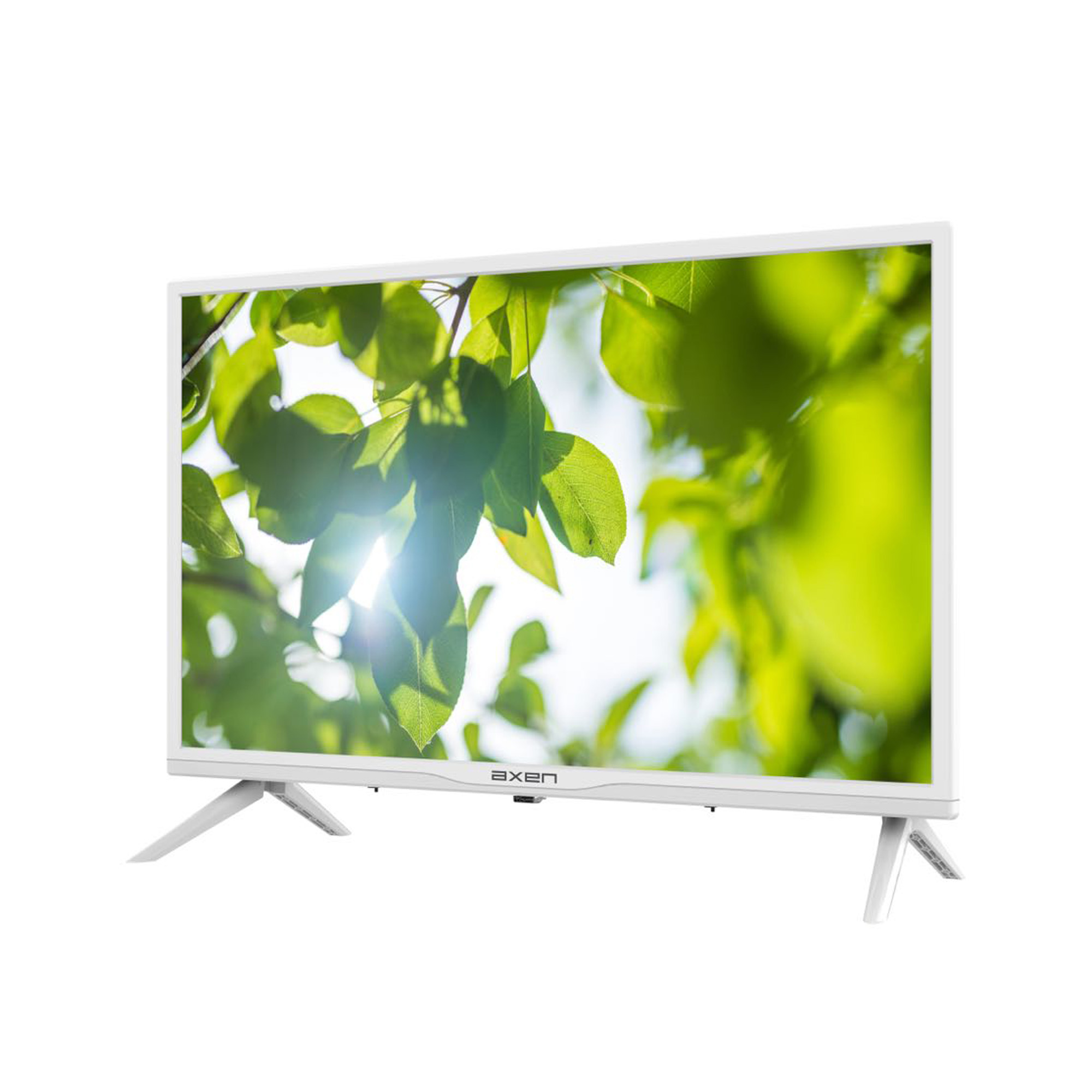 Güneş ışığı ve beyaz bir çerçeve ile yaprakları gösteren beyaz bir TV ekranı.