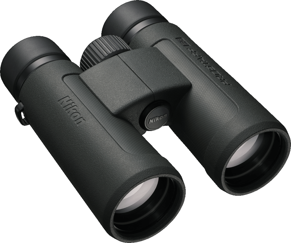 Schwarzes Nikon Fernglas mit zentralem Fokusrad auf schwarzem Hintergrund.