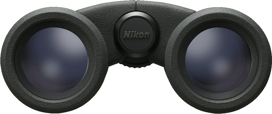 Primo piano di un binocolo Nikon nero, che mostra le lenti e il logo Nikon.
