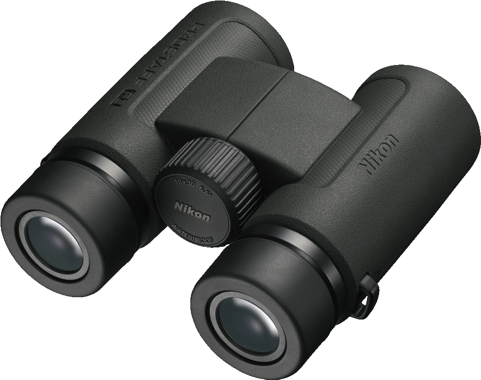 Binocolo Nikon nero. Compatto, con ghiera di messa a fuoco centrale e marchio visibile.