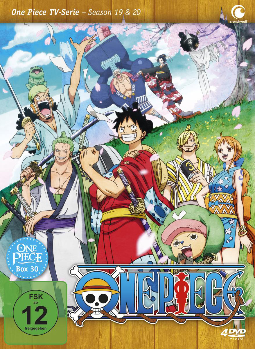 One Piece DVD-Cover mit mehreren Charakteren. Grüne Bäume, blauer Himmel und Wasser.