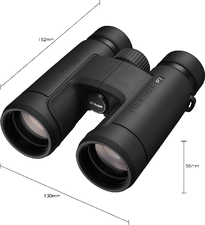 Jumelles Nikon noires, légèrement inclinées, avec marques Nikon et Prostaff P7.